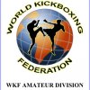 AMATEUR DIVISION