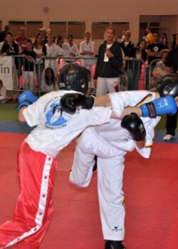 wkf-ec-vienna-2011-004