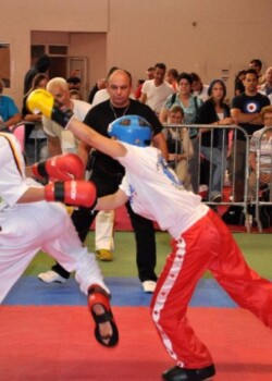 wkf-ec-vienna-2011-007
